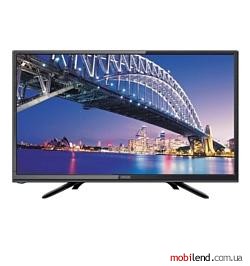 Polar 55LTV7011