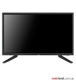 Polar 60LTV1101
