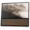 Bang & Olufsen BeoVision 14-40