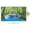 BBK LED2278F