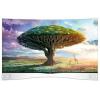 LG 55EA9800