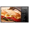 Philips BDL4650EL