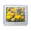 Samsung CS-21V5 R