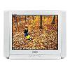 Samsung CS-29K5WTQ