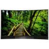 TCL U55S8866S