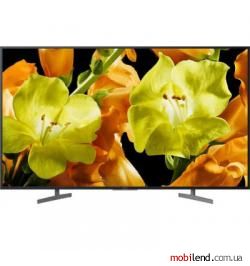 Sony KD-55XG8196