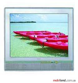TCL DT-21192SG