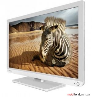 Toshiba 24W1334G