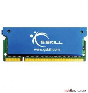 G.Skill 4 GB (2x2GB) SO-DIMM DDR2 667 MHz (F2-5300CL5D-4GBSK) G.Skill 4 GB (2x2GB) SO-DIMM DDR2 667 MHz (F2-5300CL5D-4GBSK)