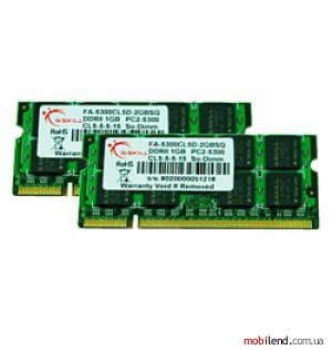 G.SKILL FA-5300CL5D-2GBSQ