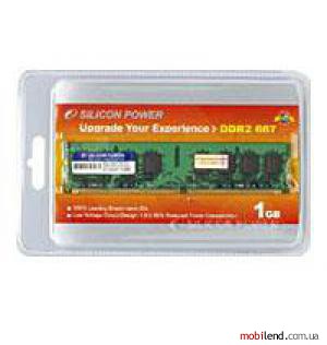 Silicon Power SP001GBLRE667O01