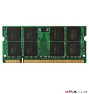 Team Group TSDD1024M667C5S