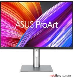 ASUS ProArt Display PA248CRV (90LM05K0-B01K70)