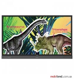 BenQ RP704K Black (9H.F3JTC.DE1)