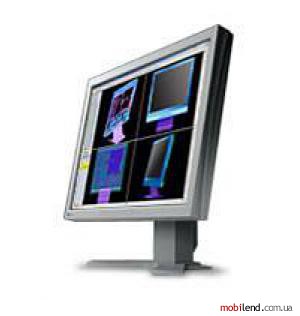 Eizo FlexScan L985EX