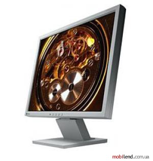 Eizo FlexScan P1700
