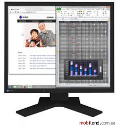 Eizo FlexScan S1934H