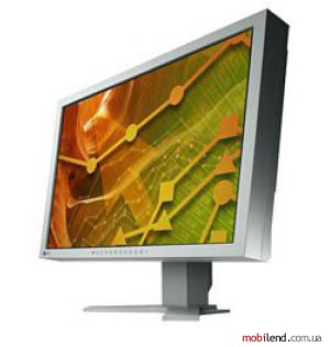 Eizo FlexScan S2402W