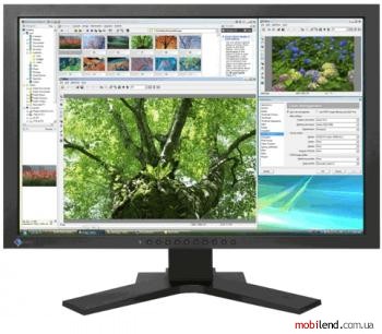 Eizo FlexScan SX2461WK