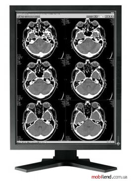 Eizo RadiForce G21