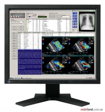 Eizo RadiForce R11