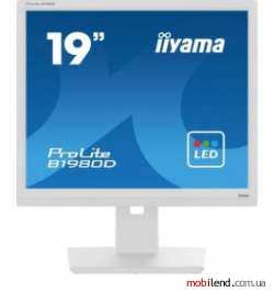 iiyama B1980D-W5