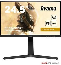 Iiyama G-Master GB2590HSU-B1