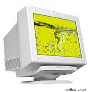 Iiyama Vision Master Pro 410