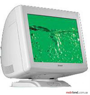 Iiyama Vision Master Pro 451
