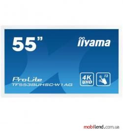 iiyama ProLite 55