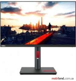 Lenovo ThinkVision P24h-30 (63B3GAT6EU)