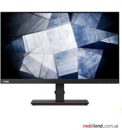 Lenovo ThinkVision P24q-20 (61F5GAT1EU)