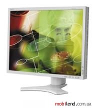 NEC MultiSync LCD2090UXi