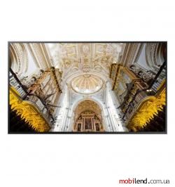 Samsung Smart Signage QM49N (LH49QMNEBGC/EN)