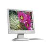 Acer AL1513