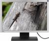 BenQ FP222W