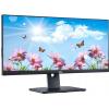 Dell U2913WM