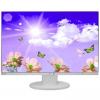 EIZO EV2450-GY