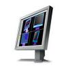 Eizo FlexScan L985EX