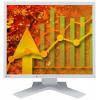 Eizo FlexScan S1923