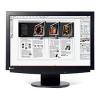 Eizo FlexScan S2110W