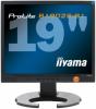 Iiyama ProLite B1902S-B1