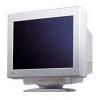 Iiyama Vision Master Pro 450 A901HT
