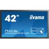 iiyama TH4265MIS-B1AG