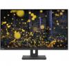 Lenovo ThinkVision E24q-20 (62CFGAT1UA)