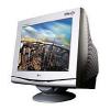 LG Flatron F900P