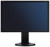 NEC E222w