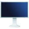 NEC E231W