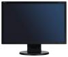 NEC MultiSync E221W