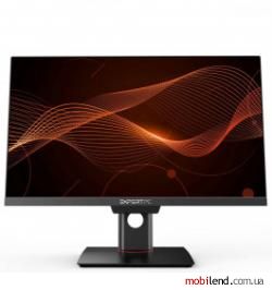 Expert PC P242p Black (XA24.HK4PP.G64.8.S2.N.U.124)